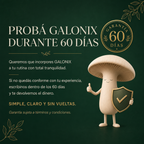 Gomitas con adaptógenos naturales