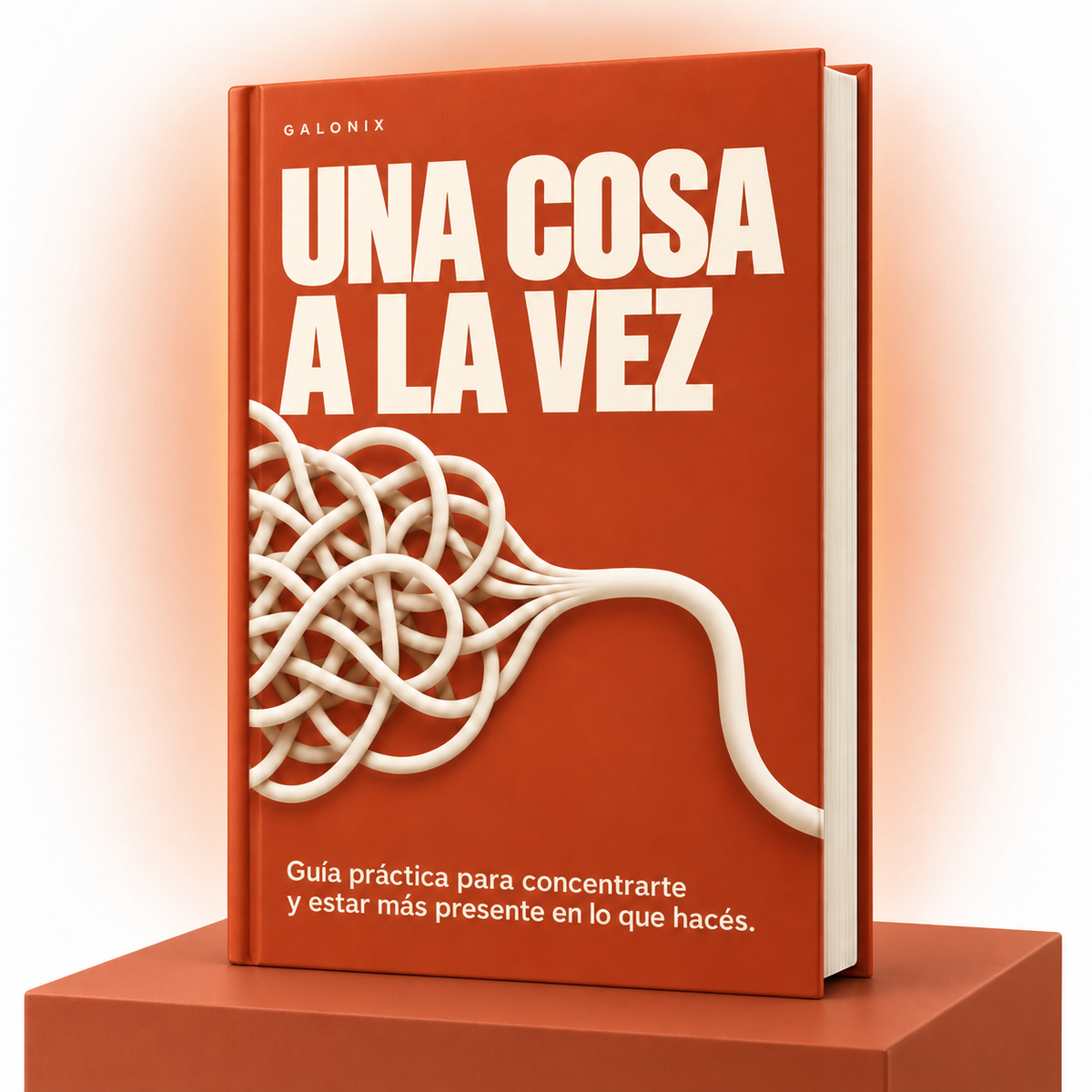 GUIA PARA CONCENTRACION